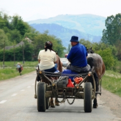 Roemenië (13)