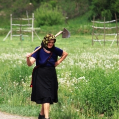 Roemenië (16)