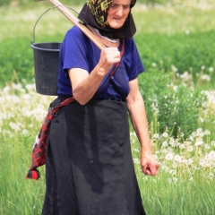Roemenië (18)