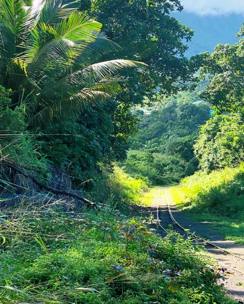 Saint-Kitts-Nevis-18