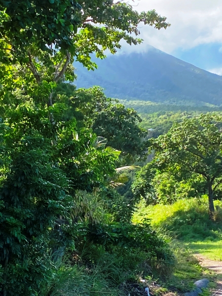 Saint-Kitts-Nevis-19