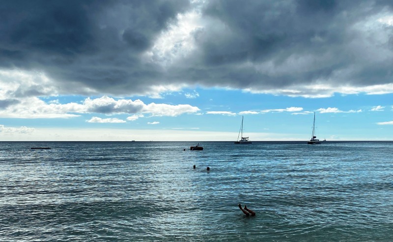 Saint-Kitts-Nevis-41