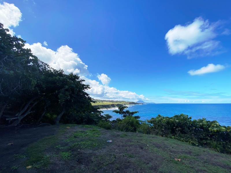Saint-Kitts-Nevis-52