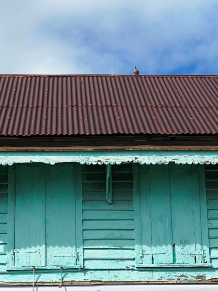 Saint-Kitts-Nevis-65