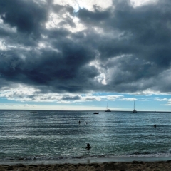 Saint-Kitts-Nevis-48