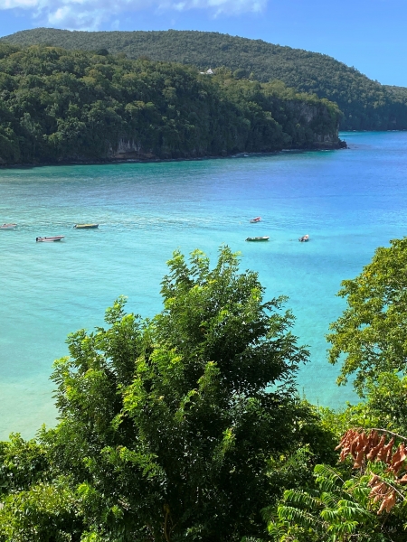 Saint-Lucia-42