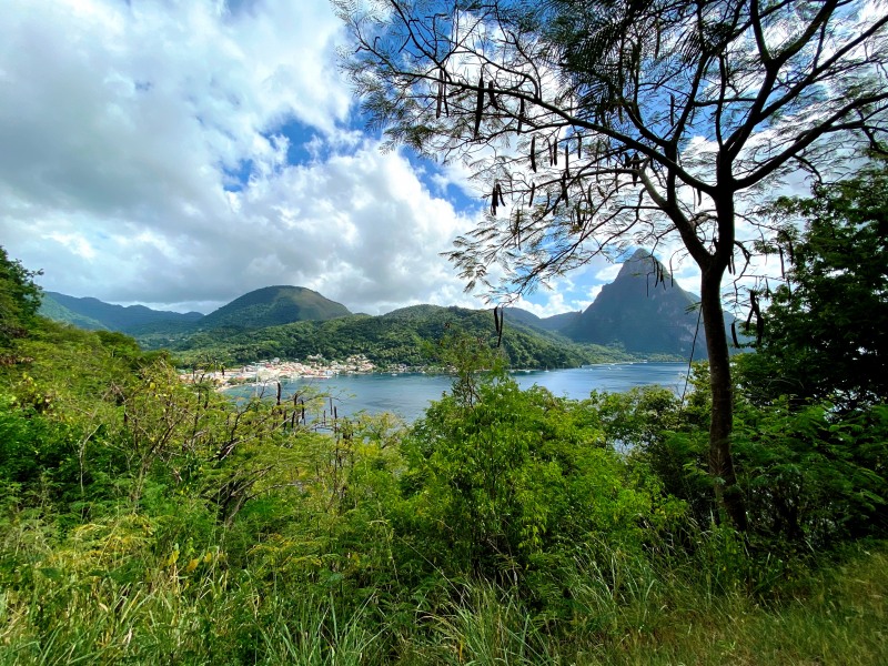 Saint-Lucia-44
