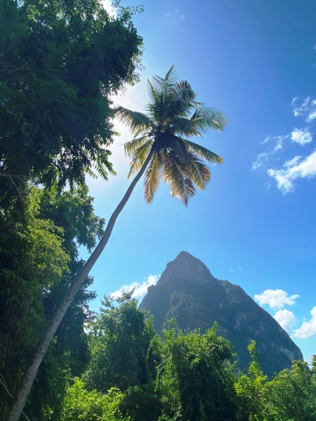 Saint-Lucia-5