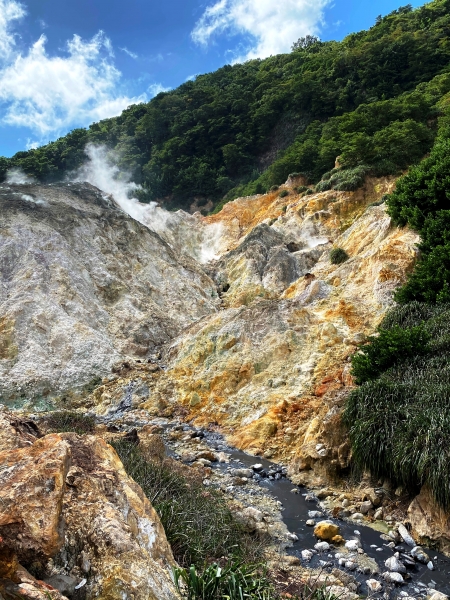 Saint-Lucia-66