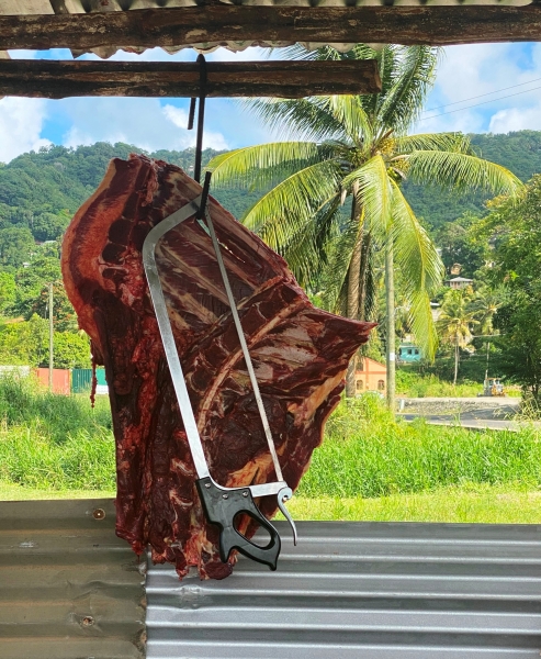 Saint-Lucia-92