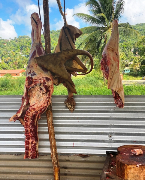 Saint-Lucia-93