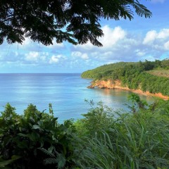 Saint-Lucia-13