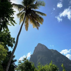 Saint-Lucia-4