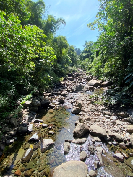 Saint-Vincent-Grenadines-15