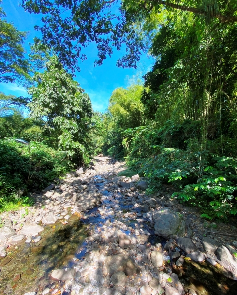 Saint-Vincent-Grenadines-16