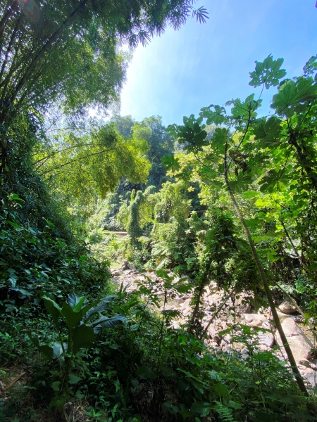 Saint-Vincent-Grenadines-18