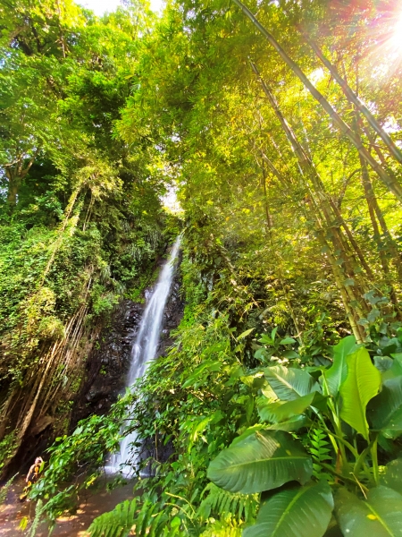 Saint-Vincent-Grenadines-20