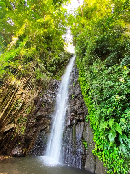 Saint-Vincent-Grenadines-21
