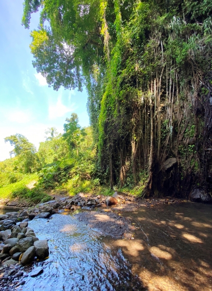 Saint-Vincent-Grenadines-23