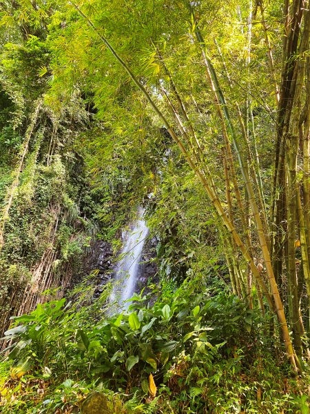 Saint-Vincent-Grenadines-24