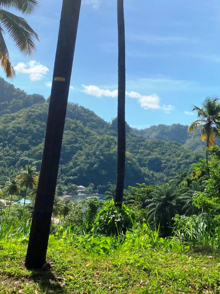 Saint-Vincent-Grenadines-27