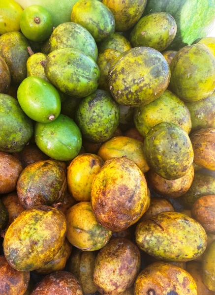 Saint-Vincent-Grenadines-67