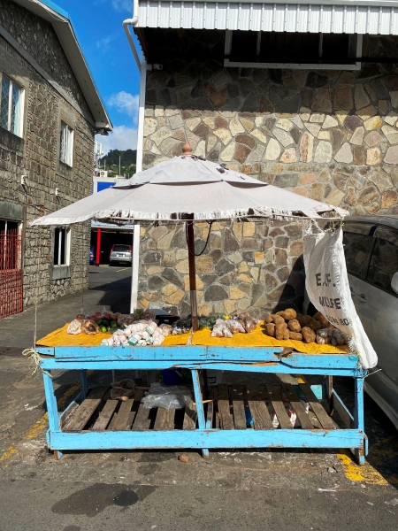 Saint-Vincent-Grenadines-72