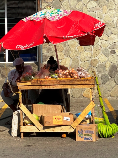Saint-Vincent-Grenadines-74