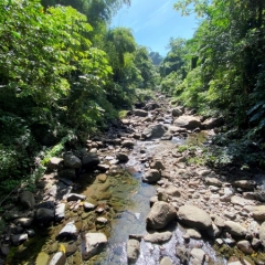 Saint-Vincent-Grenadines-15