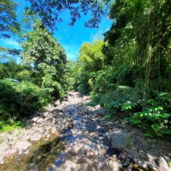 Saint-Vincent-Grenadines-16