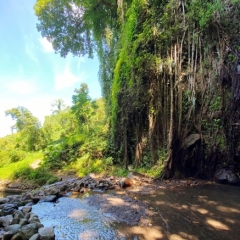 Saint-Vincent-Grenadines-23