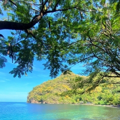 Saint-Vincent-Grenadines-7