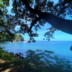 Saint-Vincent-Grenadines-8