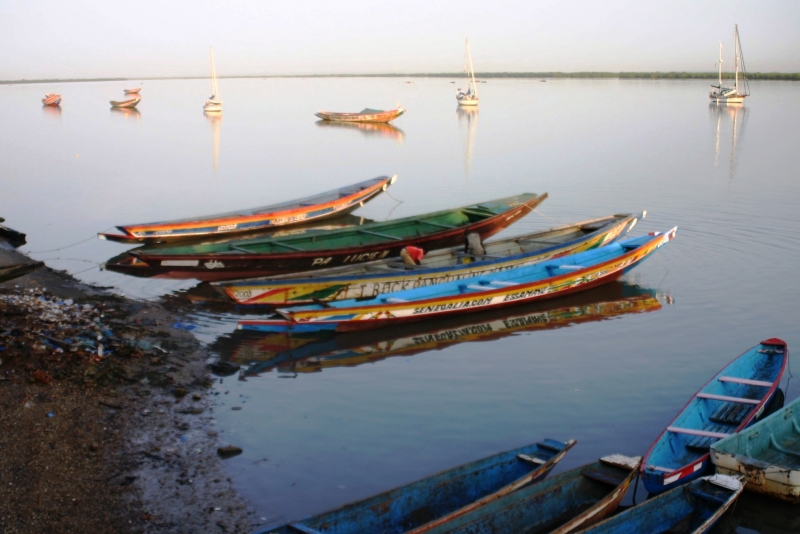 Senegal (1)
