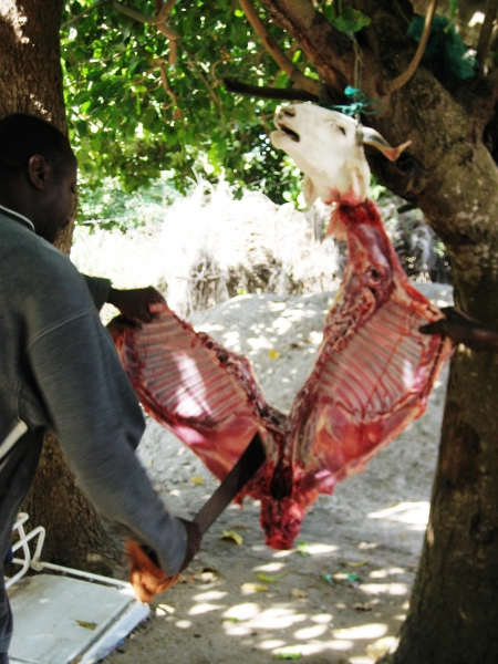 Senegal (144)