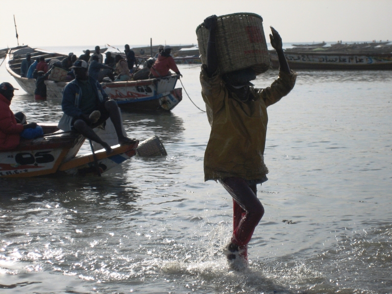 Senegal (19)