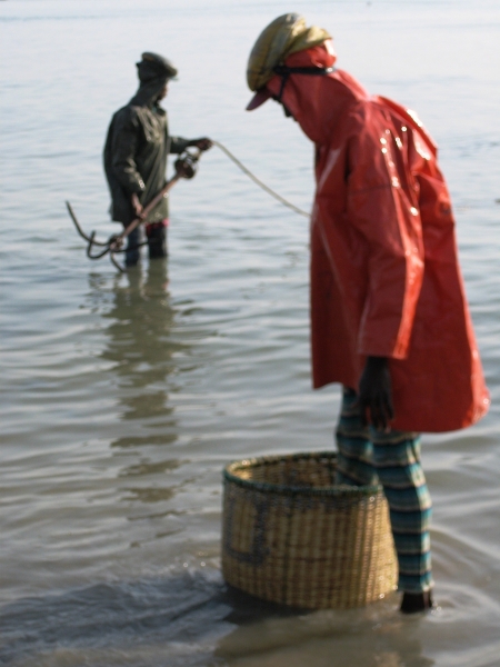 Senegal (20)