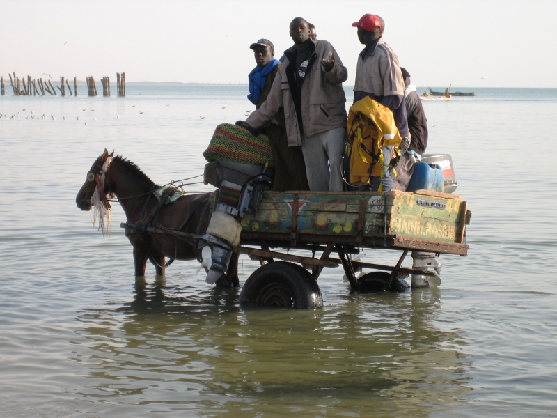 Senegal (23)
