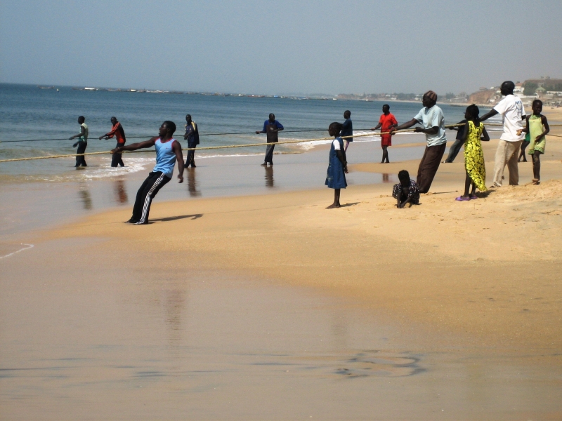 Senegal (26)