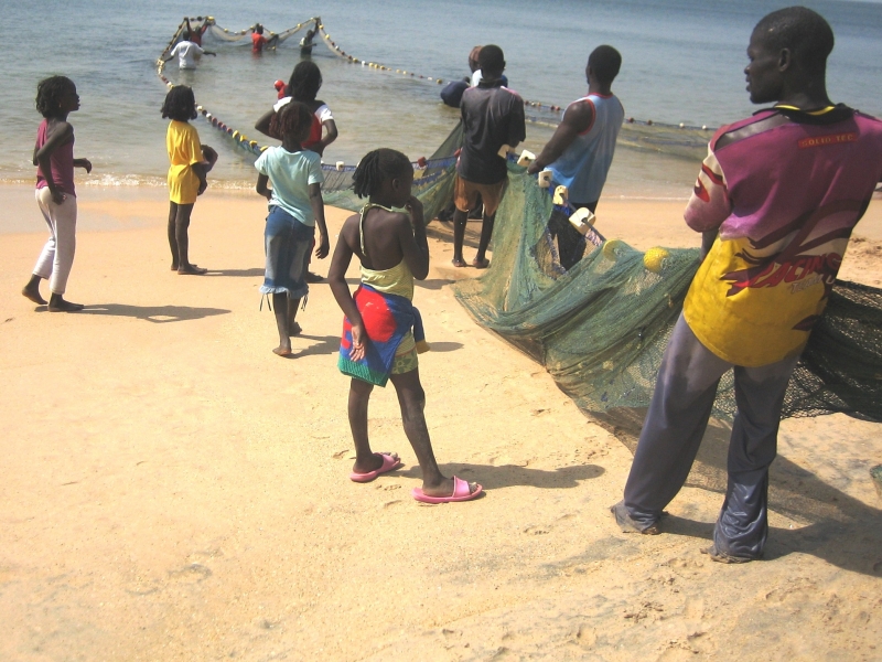 Senegal (27)