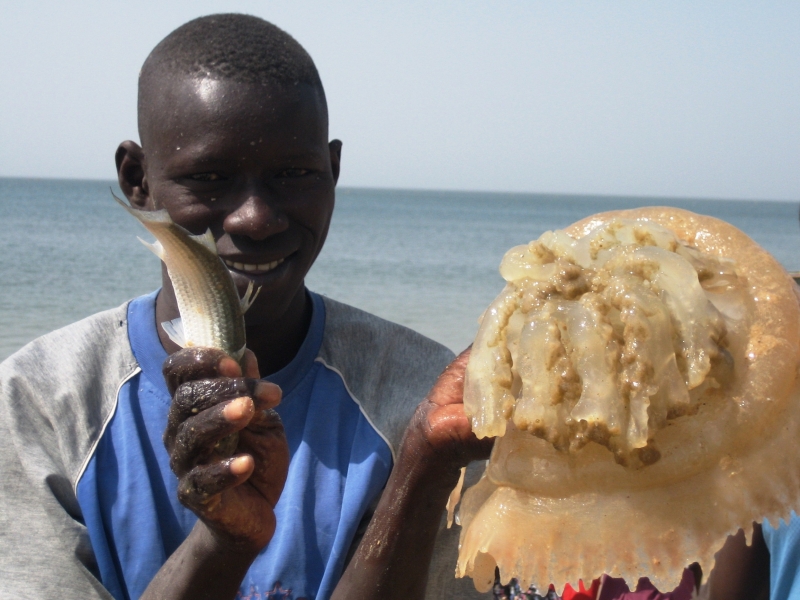 Senegal (28)