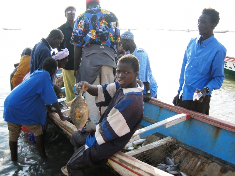 Senegal (33)