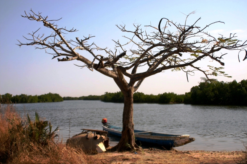 Senegal (59)