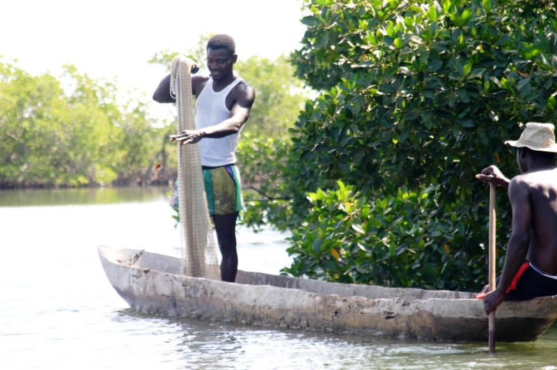 Senegal (60)