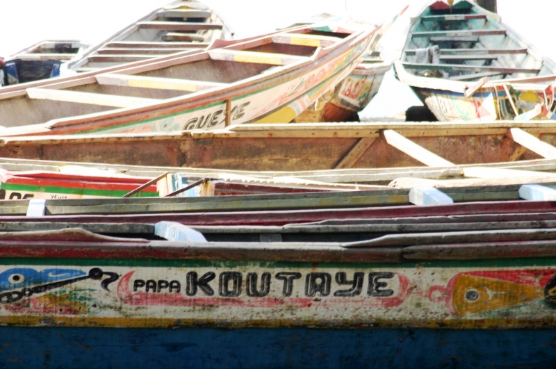 Senegal (61)