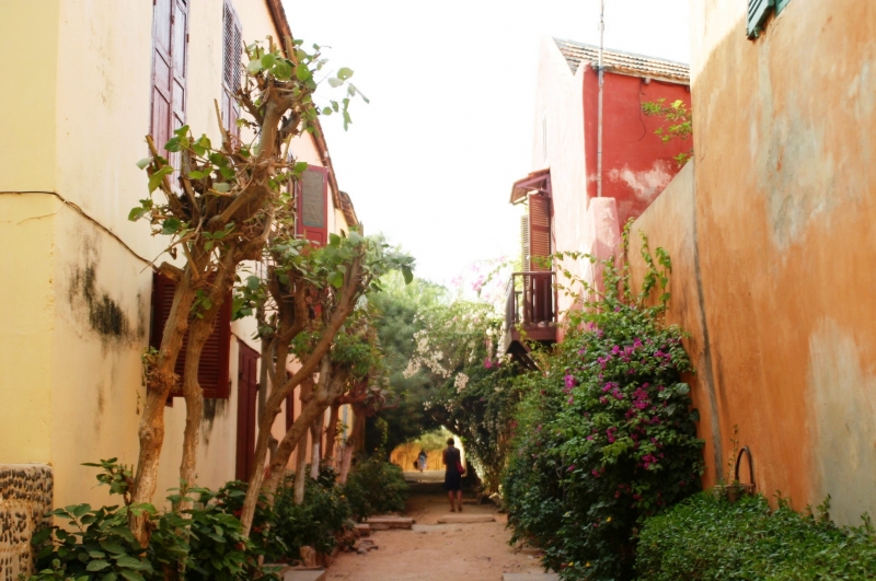 Senegal (65)