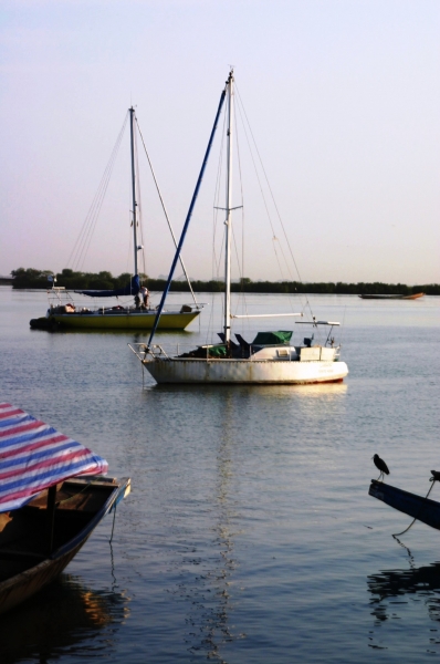 Senegal (7)