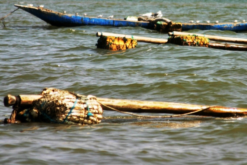 Senegal (8)