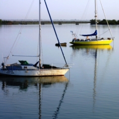 Senegal (2)