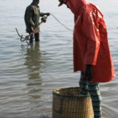 Senegal (20)